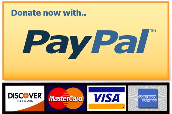 Paypal hd big